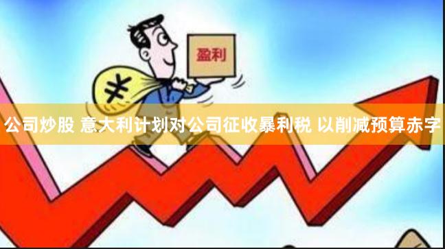 公司炒股 意大利计划对公司征收暴利税 以削减预算赤字